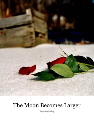 Publication preview