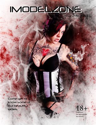 IMZ Magazine Feb 2014