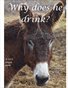 Why does he (or she) drink?