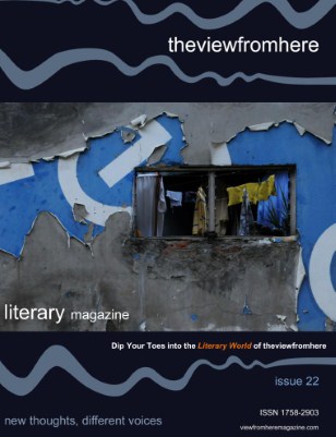 issue 22