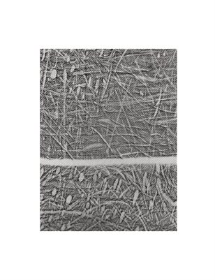 Lobkowicz Variations