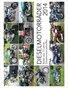 Dieselmotorräder 2014