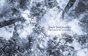 Blinded By Science - Alaska & California Collections