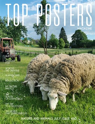 TOP POSTERS MAGAZINE - NATURE AND ANIMALS (Vol 460)
