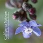 The California Natives, a wildflower calendar for 2014