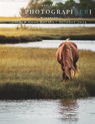 Golden Hour Horses | October 2024