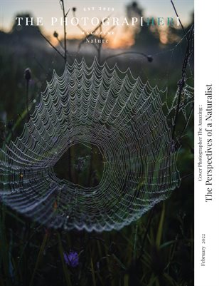 Nature | February 2022