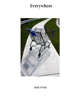 Publication preview