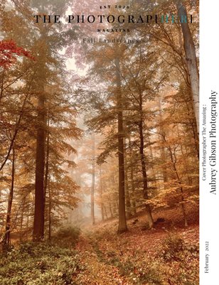 Fall Landscapes | February 2022