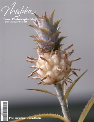 Mishka 124 Diana Bachu