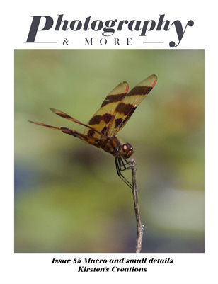 Issue 85 Macro