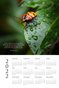2022 Calendar - Proverbs 3:5,6 - Bug in Rain