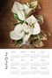 2022 Calendar - Proverbs 3:5,6 - Bougainvillea 