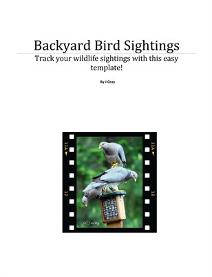 Backyard Bird Sightings