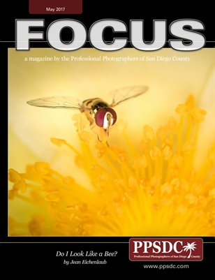 FOCUS May 2017