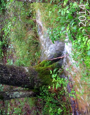 Calendar: Nature 2014