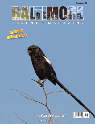 Publication preview