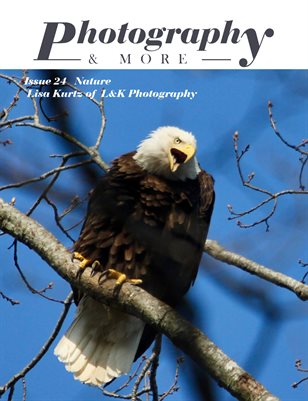 Publication preview