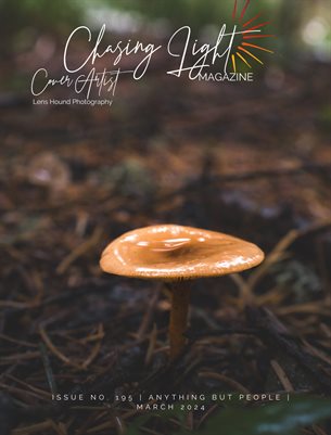 Chasing Light | Issue 195 | Anything But People