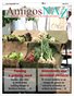 AmigosNAZ July 2013