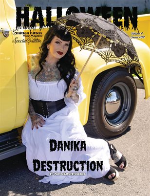 Smitten Kitten Pinup Magazine Danika Destruction Cover 2 Volume 4 Issue 33
