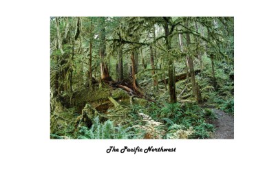 Publication preview