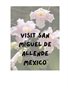 Visit San Miguel de Allende Mexico