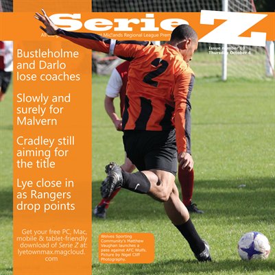 Publication preview