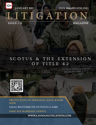 January 2023 Edition- Layman Litigation
