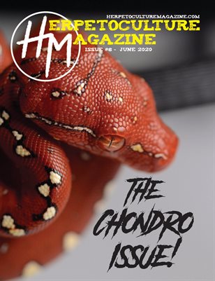 HM Issue #8 - June 2020 - Revised