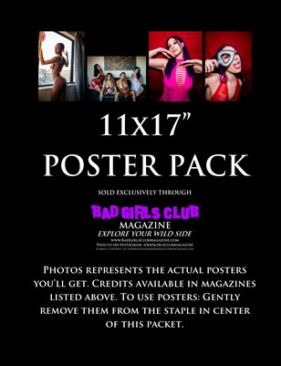 Sexy Gals - A Busty Babes Valentine Poster Pack