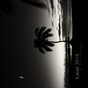 2014 calendar, Kauai in black and white 12x12