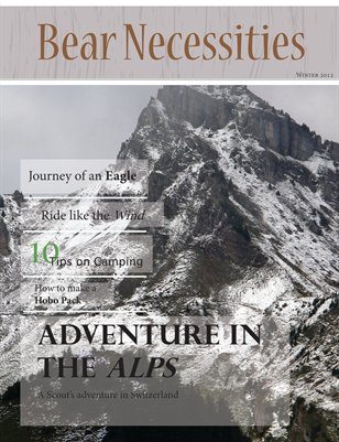 Bear Necessities