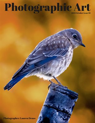  Photographic Art Magazine 01 Lauren Denos