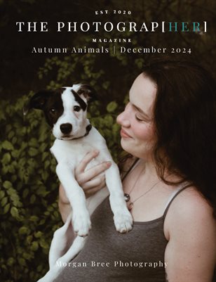Autumn Animals | December 2024