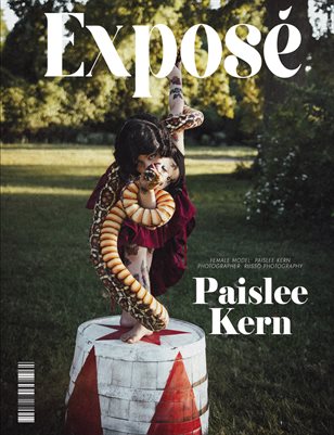 6__NOVEMBER_9C_ISSUE_FANTASY654