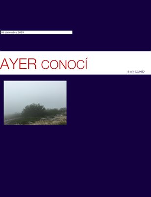 Ayer conocí