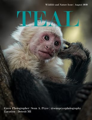 Teal Magazine Special Wildlife & Nature Issue 