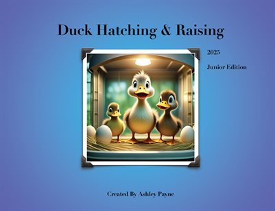 Duck Hatching & Raising