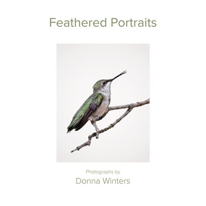 feathered portraits 
