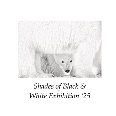 Shades of Black & White Exhibition