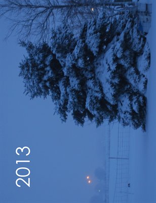 Snow 2013