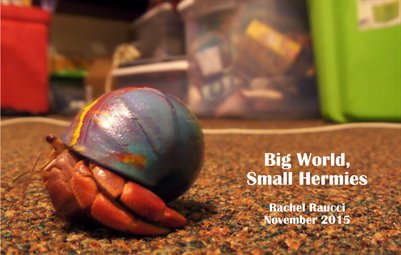 Big World, Small Hermies