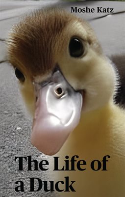 the  life  of  a  duck