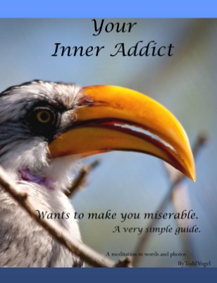 Publication preview