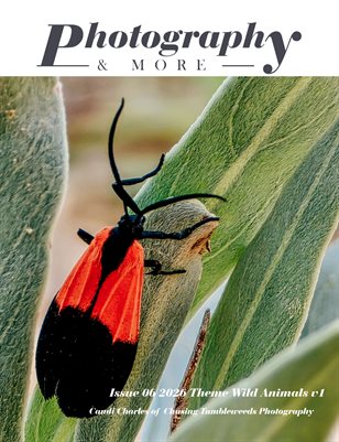 Issue 06 Wild Animals V1