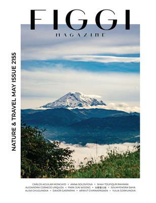 Publication preview