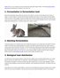 What are the fermentation methods of rabbit manure?