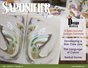 Saponifier Magazine: May/June 2015