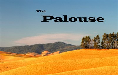 The Palouse
